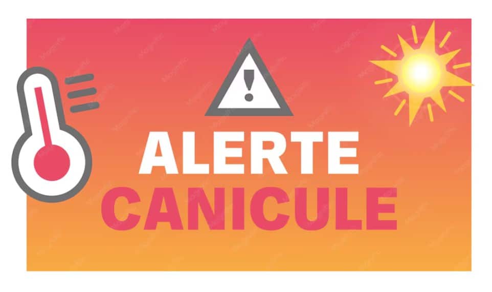canicule